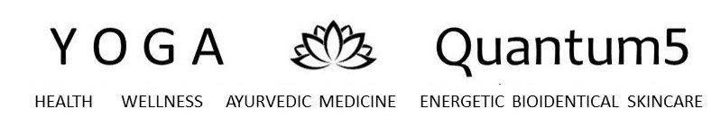 Early bird special ends tomorrow! Great $20 value for a yoga class plus QUANTUM5 Holistic seminar. Event is Saturday Nov 16th, 9am-12pm. RSVP by Nov 13. All are welcome!