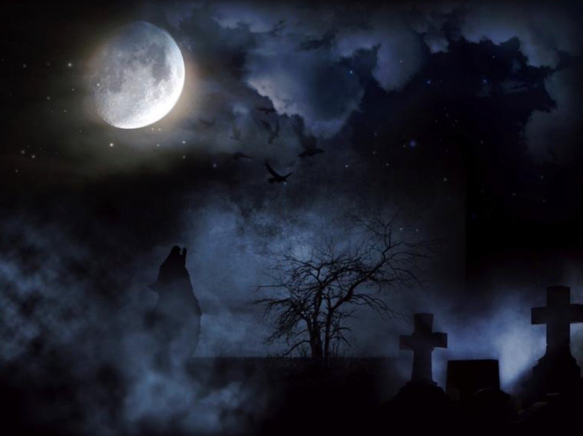 METRIX_LAB's tweet image. ¿Se puede tener miedo a la luna? 😮🤷‍♀️🌚👻🎃
Vía: bit.ly/2WvCiOV
#HappyHalloween #luna #ciencia