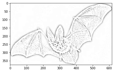 python_tip's tweet photo. Happy Halloween! Wanna create something spooky? Learn how to turn any image into a pencil sketch

https://t.co/w6nJrU1Jjm

#imageio #pyplot https://t.co/2thMzdudmu