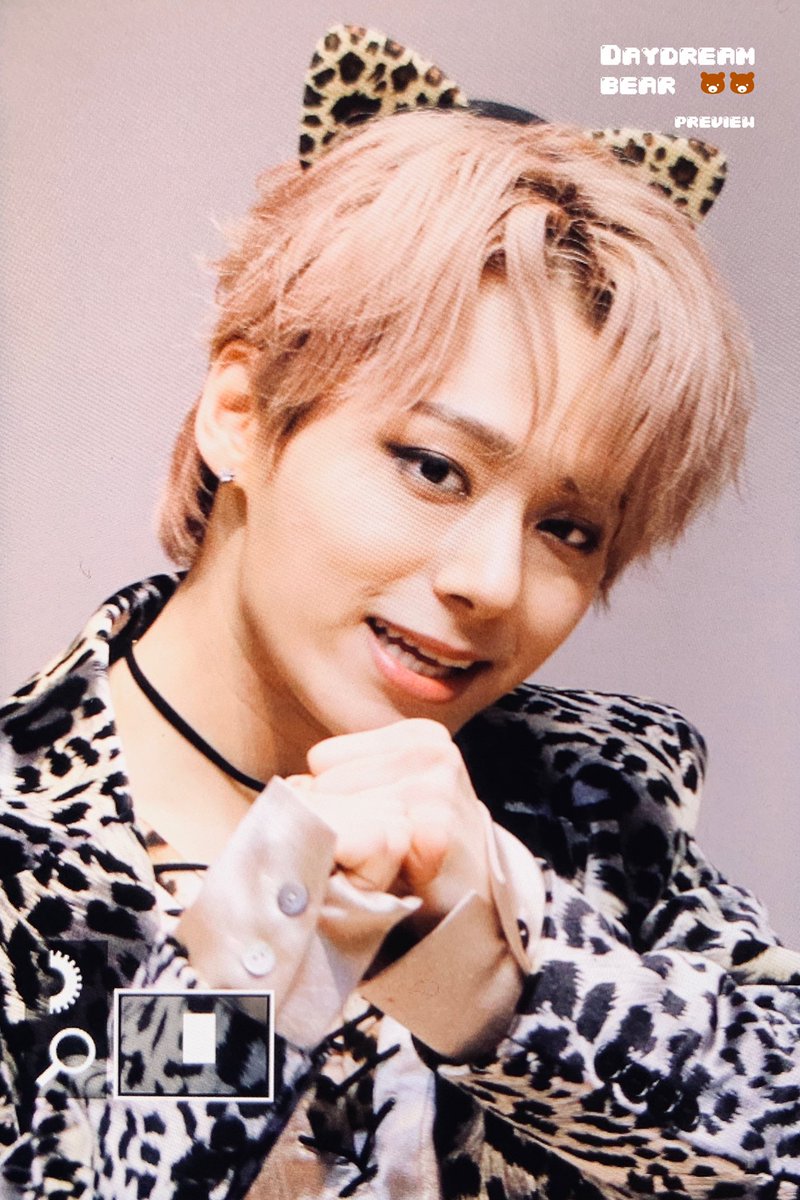 _daydreambear tweet picture