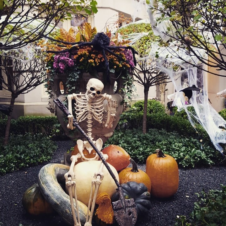 leclainchepiel's tweet photo. Vous ne saisissez pas la différence entre Halloween et le Jour des Morts ? Vous voulez en savoir plus sur les pratiques associées et la manière dont les mort-es se font présent-es à cette occasion ? Voilà tout l’enjeu de cette sélection spéciale #Cortem : https://t.co/7e681l6sb4 https://t.co/iTXvpWh74e