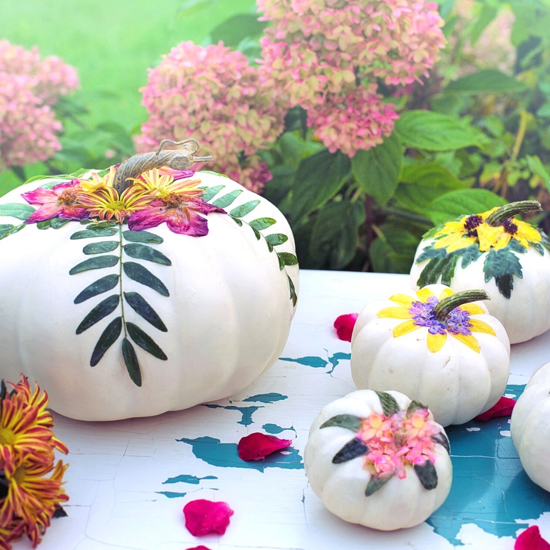 Roses are red, violets are blue, the Details team wishes a BOO-tiful Halloween to you! 🎃🌻👻 #happyhalloween #detailsflowers #pumpkins