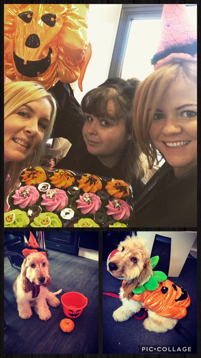 Happy Halloween 🎃🕷👻💀🕸