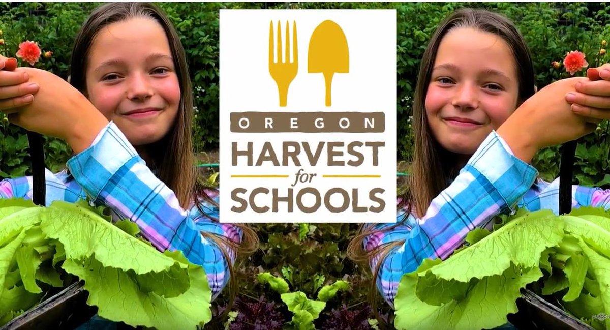 ORDeptEd's tweet image. ODE and OSU Extension Service’s Food Hero campaign have teamed up to launch a video series educating students on healthy, Oregon food. Check out the first installment!
youtube.com/watch?v=f7t1EF…

#farmtoschool #F2SMonth #ORHarvest4Schools 
@OregonStateExt