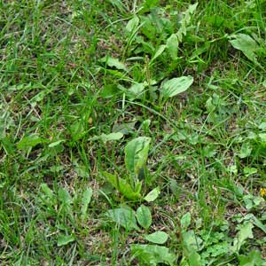 We’re sharing the scariest thing we could think of this year.  We apologize for any trauma this image causes. 

Happy Halloween, everyone! 🎃👻🍬👾