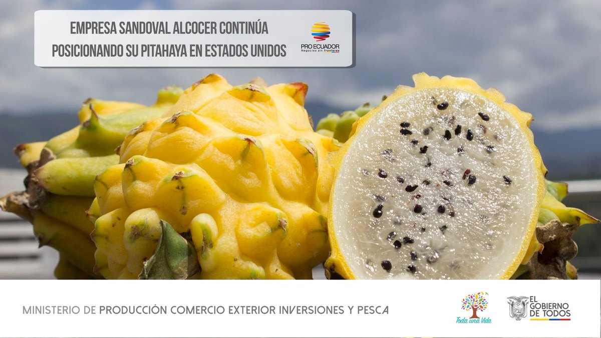 PRO ECUADOR North America (@proecuadornoram) on Twitter photo 🔴¡Buenas noticias! Como resultado de una agenda personalizada gestionada por la Oficina Comercial <a href="/proecuadornoram/">PRO ECUADOR North America</a> en Chicago, la empresa Sandoval Alcocer realizó una exportación de pitahaya amarilla a Estados Unidos🇺🇸, incrementando su presencia en este mercado. 🔴¡Buenas noticias! Como resultado de una agenda personalizada gestionada por la Oficina Comercial <a href="/proecuadornoram/">PRO ECUADOR North America</a> en Chicago, la empresa Sandoval Alcocer realizó una exportación de pitahaya amarilla a Estados Unidos🇺🇸, incrementando su presencia en este mercado.