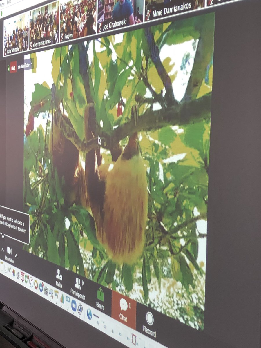 Katewhipple18's tweet photo. Exploring by the seat of our pants!! Today we are connecting with the Toucan Ranch in Costa Rica, learning about sloths!! #ExploringByTheSeat https://t.co/G58OjvIYuk