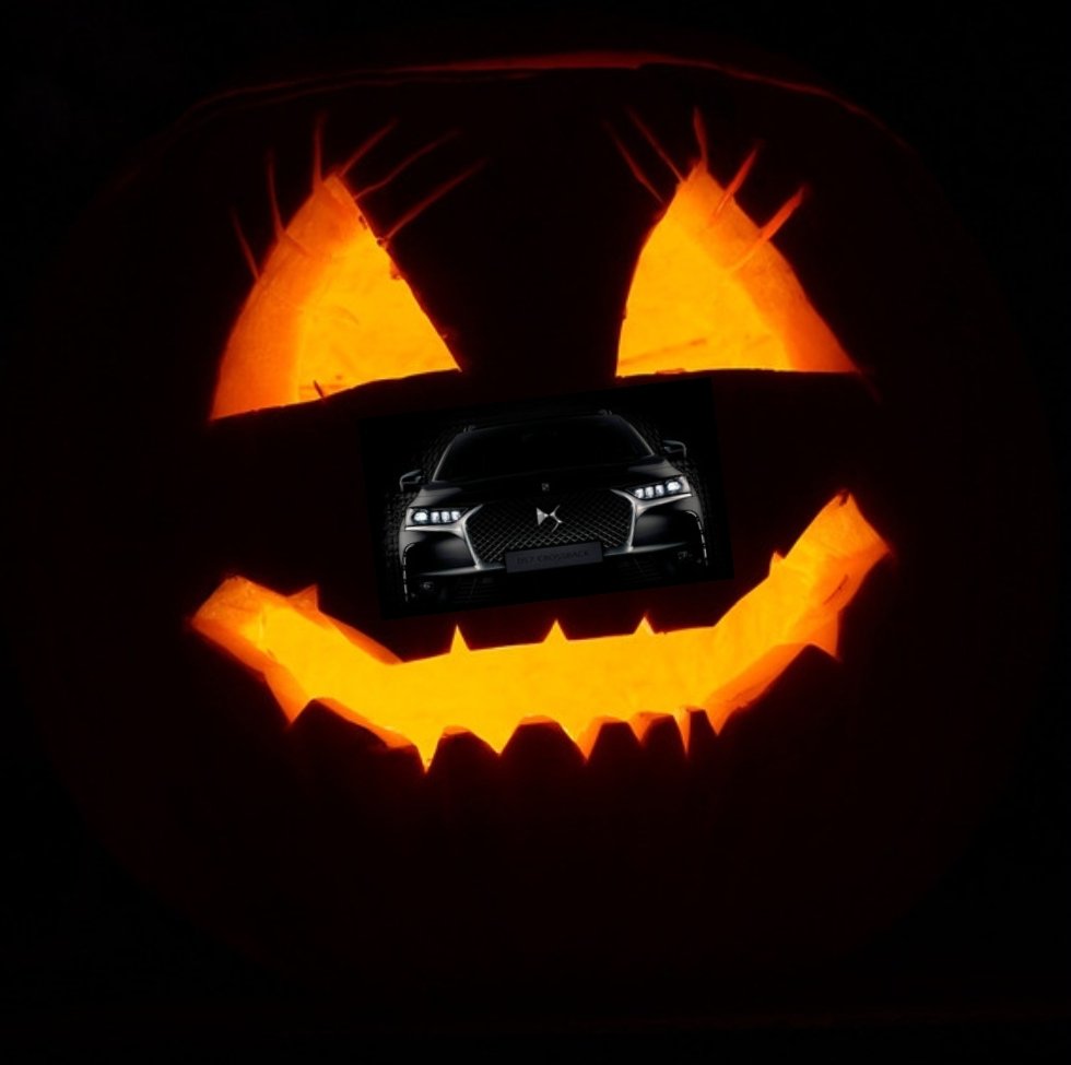 DSAlcobendas's tweet photo. HALLOWEEN 👻👻 https://t.co/viY7l9gWQ6