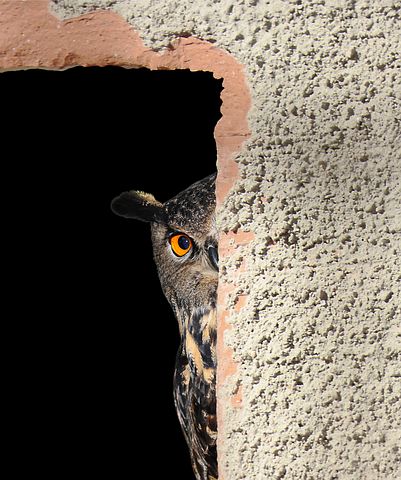 DMuduku's tweet photo. How muk students who where expecting the semester to end without exams are looking into campus and the draft Time table https://t.co/hb5FvUtIEQ