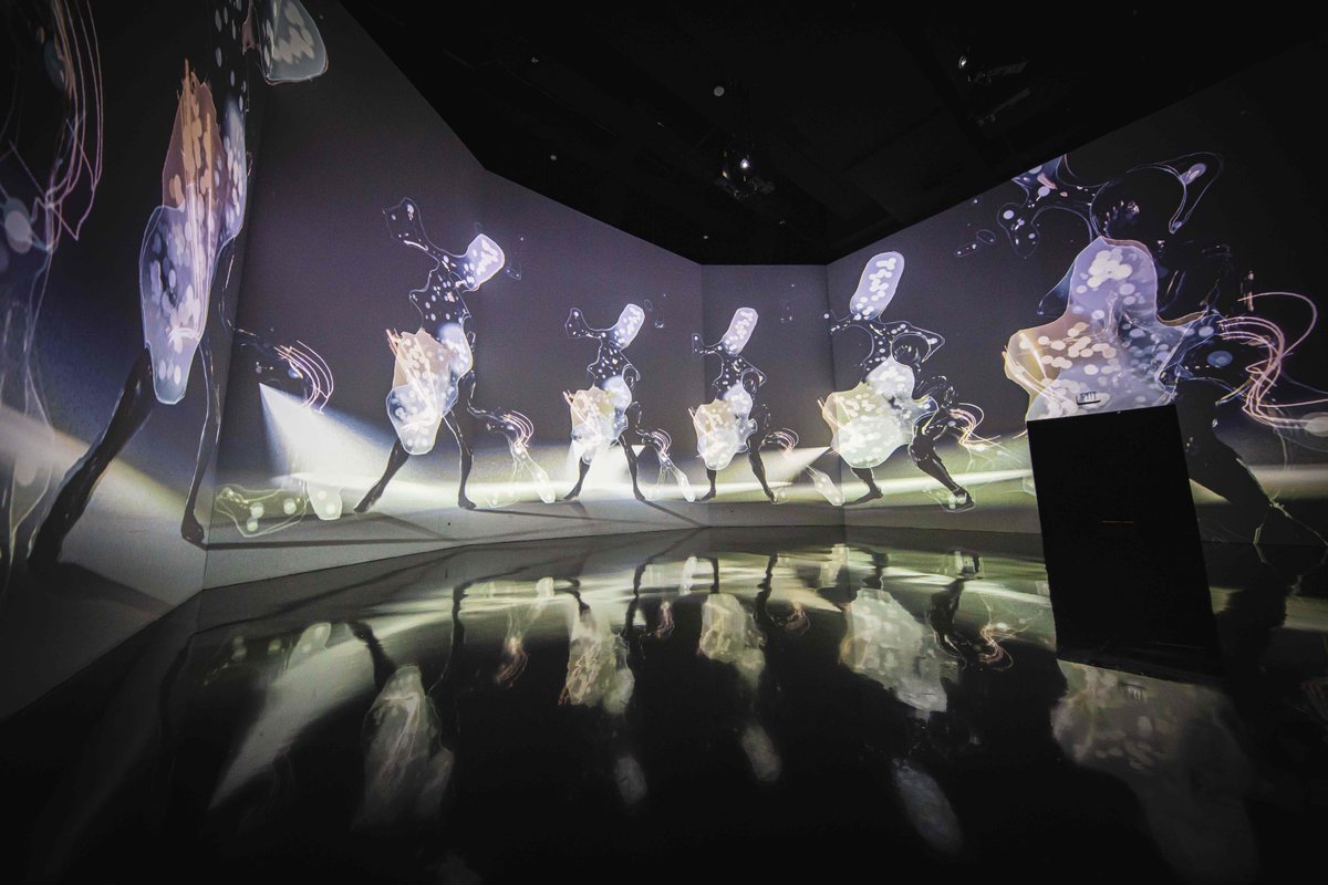 artechouse's tweet photo. Examine human motion from various standpoints using next-level technologies and expression methods, all within three unique installations now at #lucidmotion by @rhizomatiks #artechousedc 📍 #artechouse #washingtondc https://t.co/GXRLAxqxHO