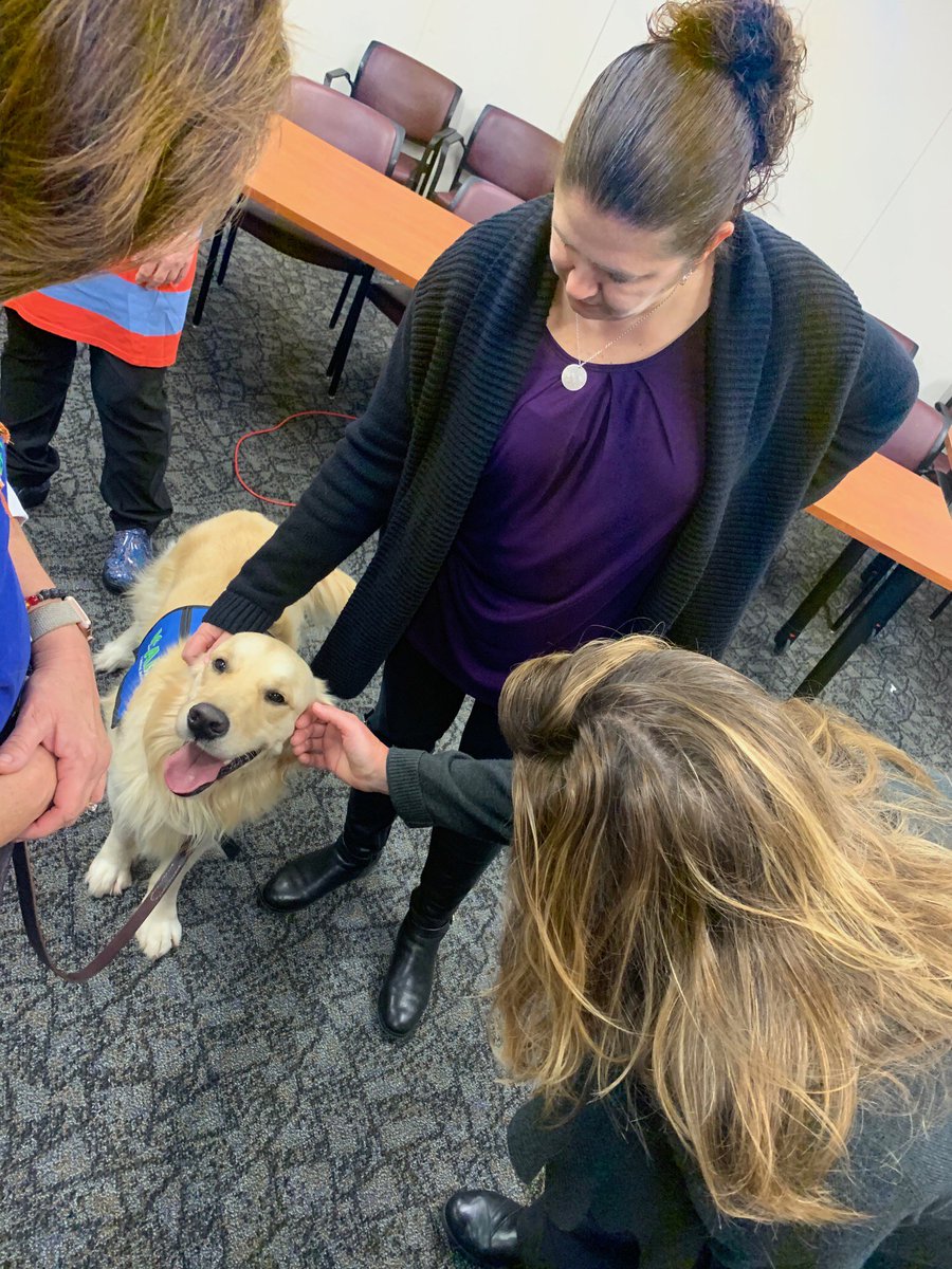FSSAIndiana's tweet photo. Members of #TeamFSSA at the Indiana Gov. Center had a great time getting to know @ICANdogs today! They really help relieve workplace stress and are so important in the lives of so many Hoosiers. Thanks for coming to see us! https://t.co/uKlmtgBQhl