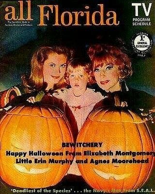 BewitchedSerial's tweet photo. "Happy International Halloween Day🎃👻". And the last day of October.
Fifty-two years ago (1967) this week #ElizabethMontgomery, 

@Erin_Murphy

and #AgnesMoorehead appeared on the cover of All Florida: TV Program Schedule magazine. I love that photo!
#BewitchedSerial 
#Halloween https://t.co/DWcbJcM0Do