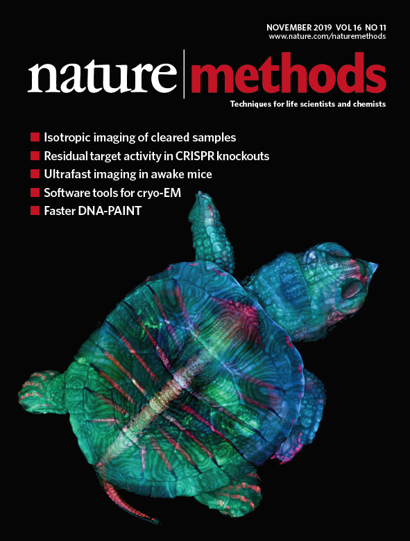 Nature Methods on Twitter: Halloween for our readers is the November issue out today! https://t.co/rIbrJ7zlXo with the spectacular @NikonSmallWorld winner on the cover. https://t.co/lUUeBjPvUw" Twitter