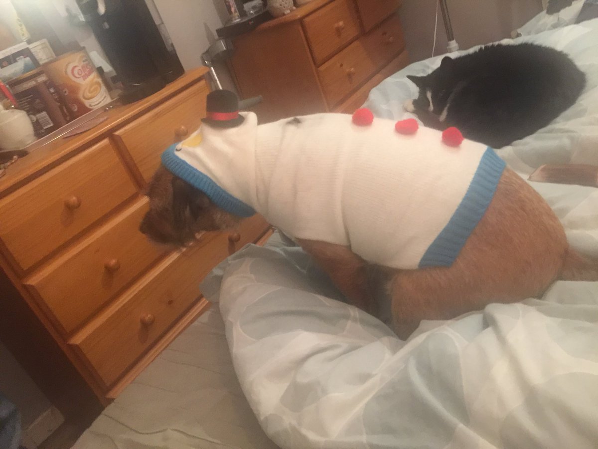 InspJapp's tweet image. Please send help! Wiv a kwickness would be pawsome!