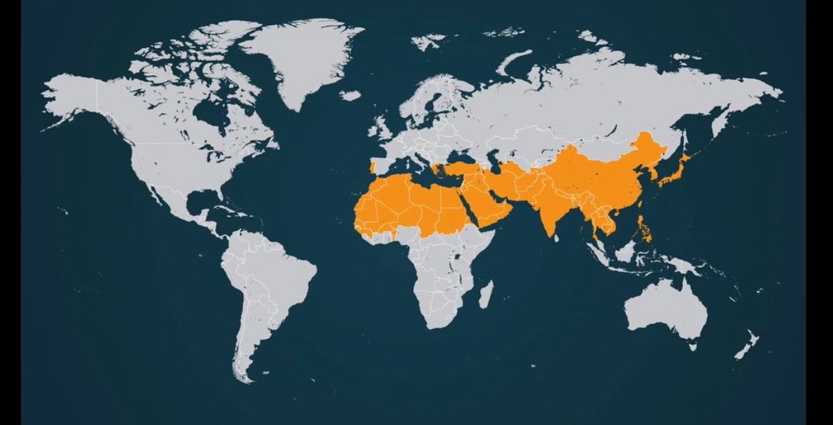 Tjoy0521's tweet image. Currently less than 1% of all people and resources go to the places where Jesus isn’t named or known. We continue to saturate places where the gospel is advancing at the neglect where it isn’t even present.