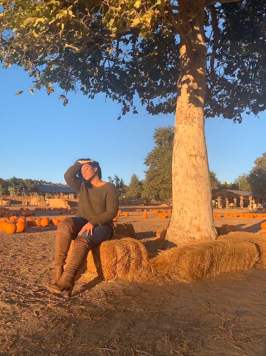 sincerelysjp's tweet photo. - letβs give them pumpkin to talk about π
..
..
..
#batesnutfarm #autumleaves #pumpkinpatch #pumpkin #pumpkinseason #happyhalloween #socal #californiafall #sandiego #sandiegofall #lighting #style #sweaterweather #swipe https://t.co/2JjZsfUY7a