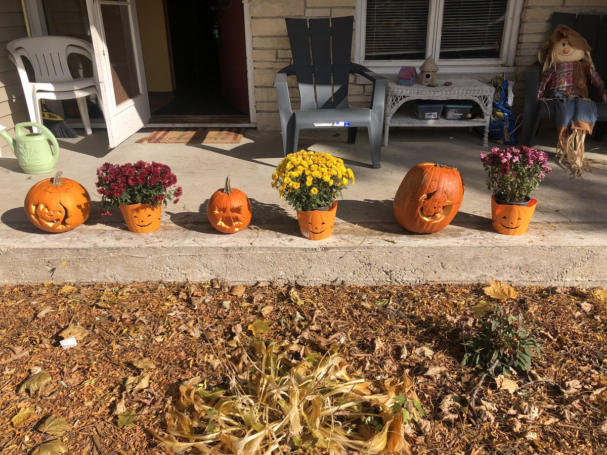 We GOT MUMS and PUMPKINS 🎃 #Belmonthouse <a href="/NEResidence/">Northeast Residence</a> #trickortreat #HappyHalloween 🎃 👻 everyone!