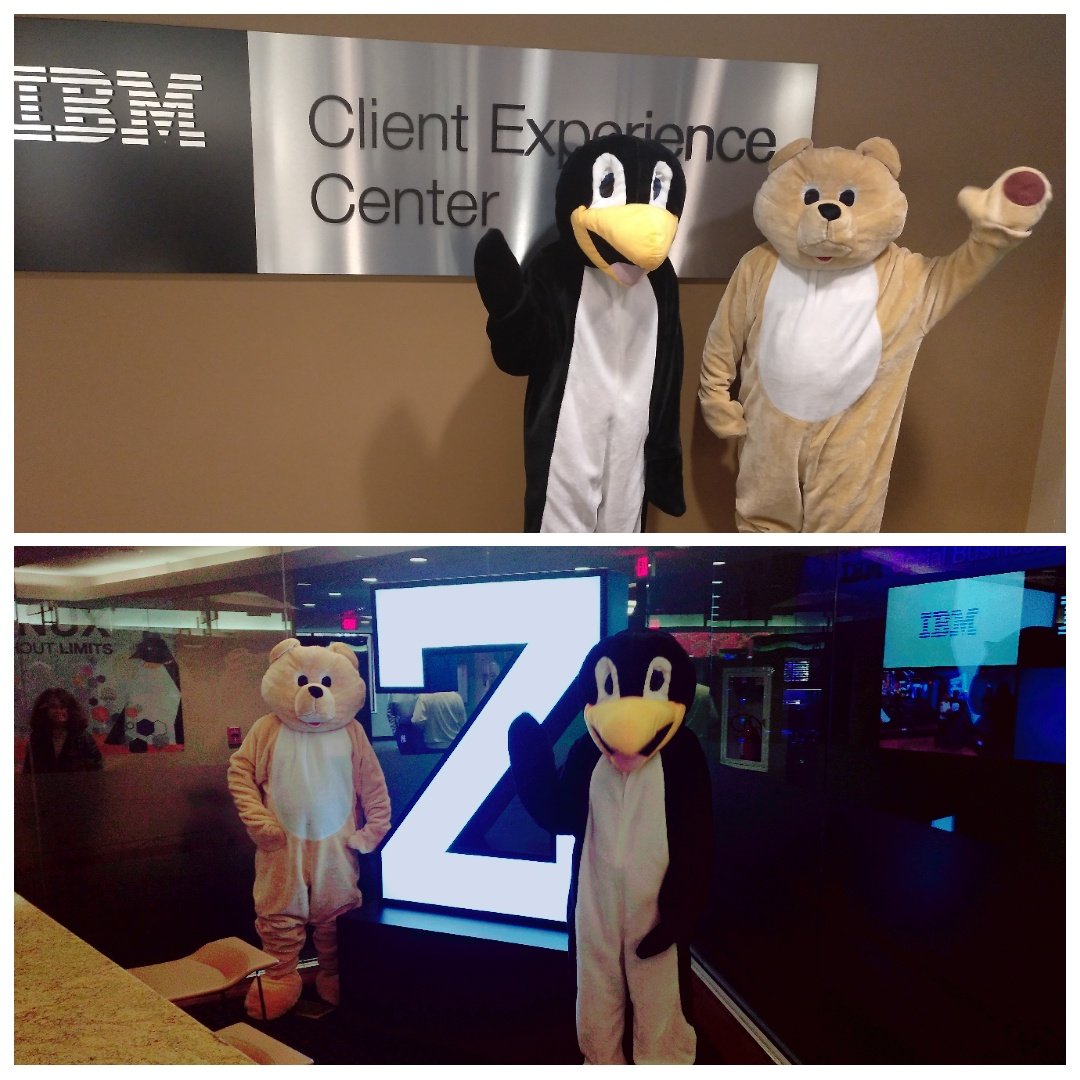 mildw's tweet image. In the Poughkeepsie #ClientCenter at #halloween2019 the #IBMLinuxONE education class had visitors, the z/VM bear and Linux pinguin. A great surprise.