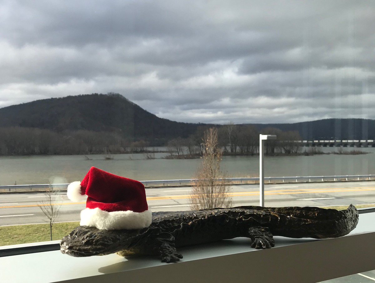 SRBCnews's tweet photo. #Hellbenders🦎 found in a new Pennsylvania water @MaThomas_Trib @WaterLandLife #Hellbenderdefender
https://t.co/Vcao49cW4M
(she's going as Santa, even though it's #Halloween) https://t.co/XA3EKwriSJ
