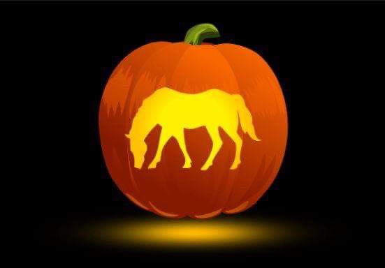 🎃 Happy Halloween All 🎃
...stay safe out there tonight 🎉🚀👻🎉 

#horse #equinehealth #equinebehaviour #horsehealth #horsefeeder #halloween2019
