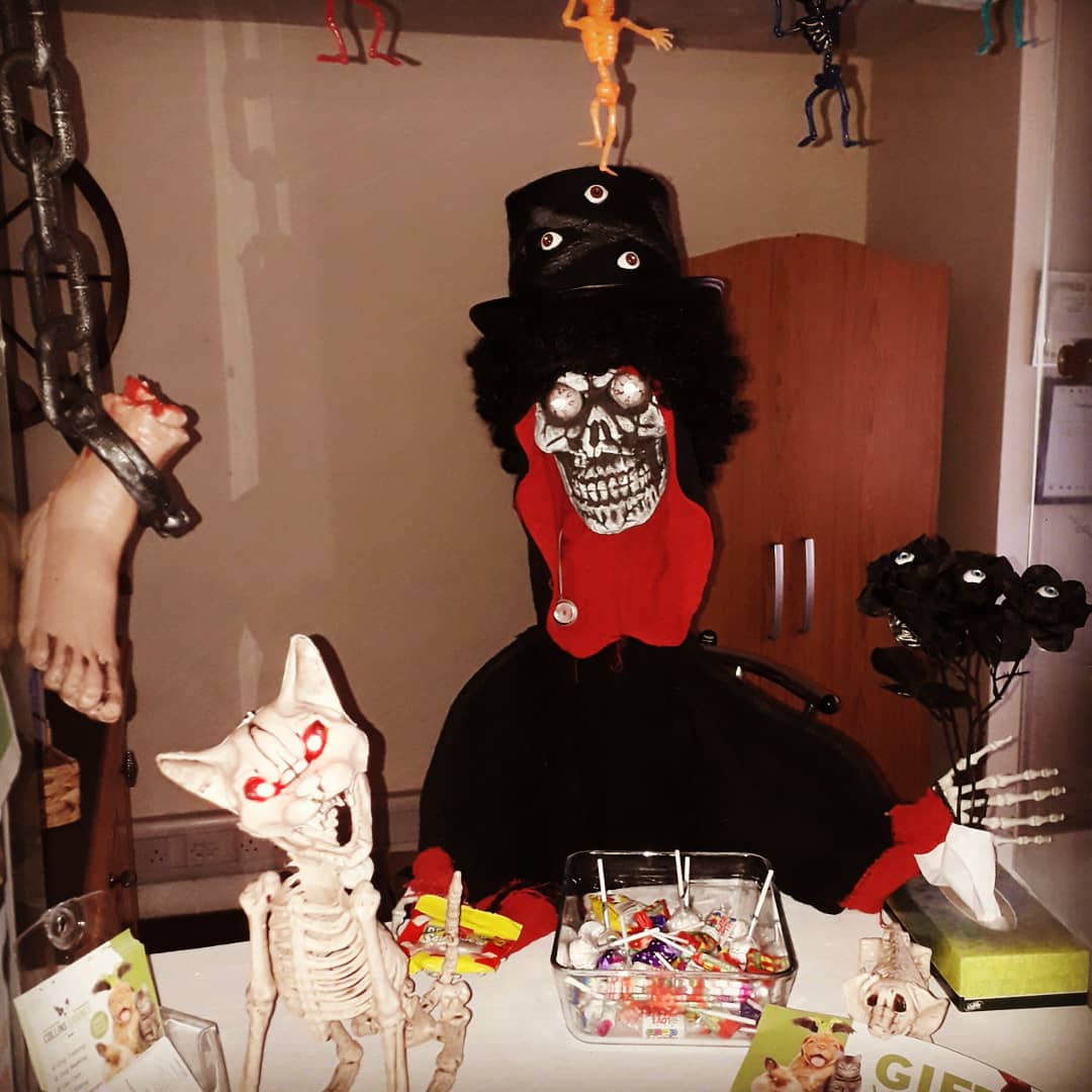 CollinsCanines's tweet photo. Here's a few tips from Michael and his crew during this Samhain.Keep them in. Keep them secured. Keep them away from the treats(bring them to us 😉). Keep them away from scarey costumes(most don't like dress up). Keep the radio on if leaving. Mostly just keep them happy. https://t.co/kf8E40AY38