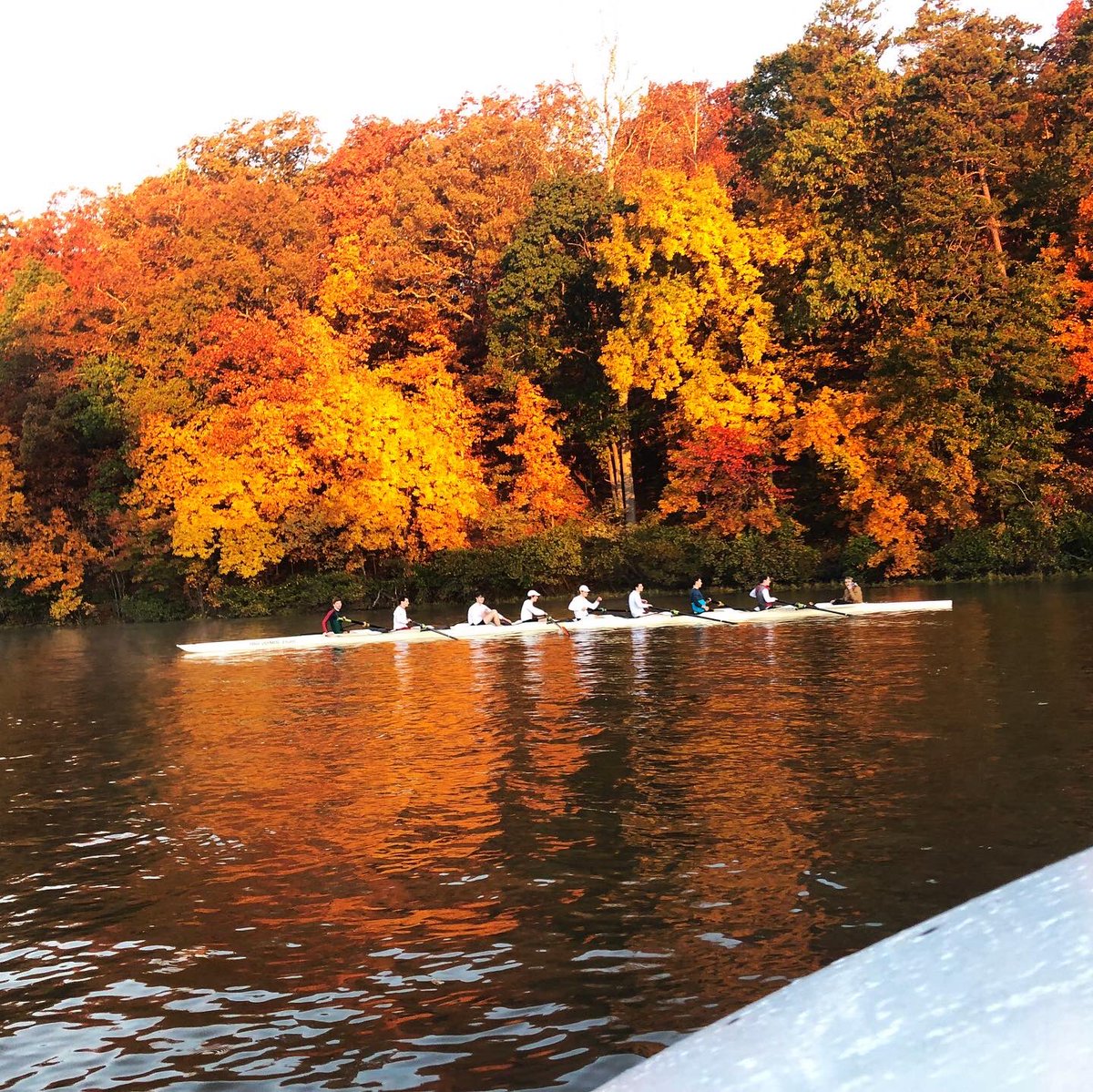 Virginia Men’s Rowing tweet media