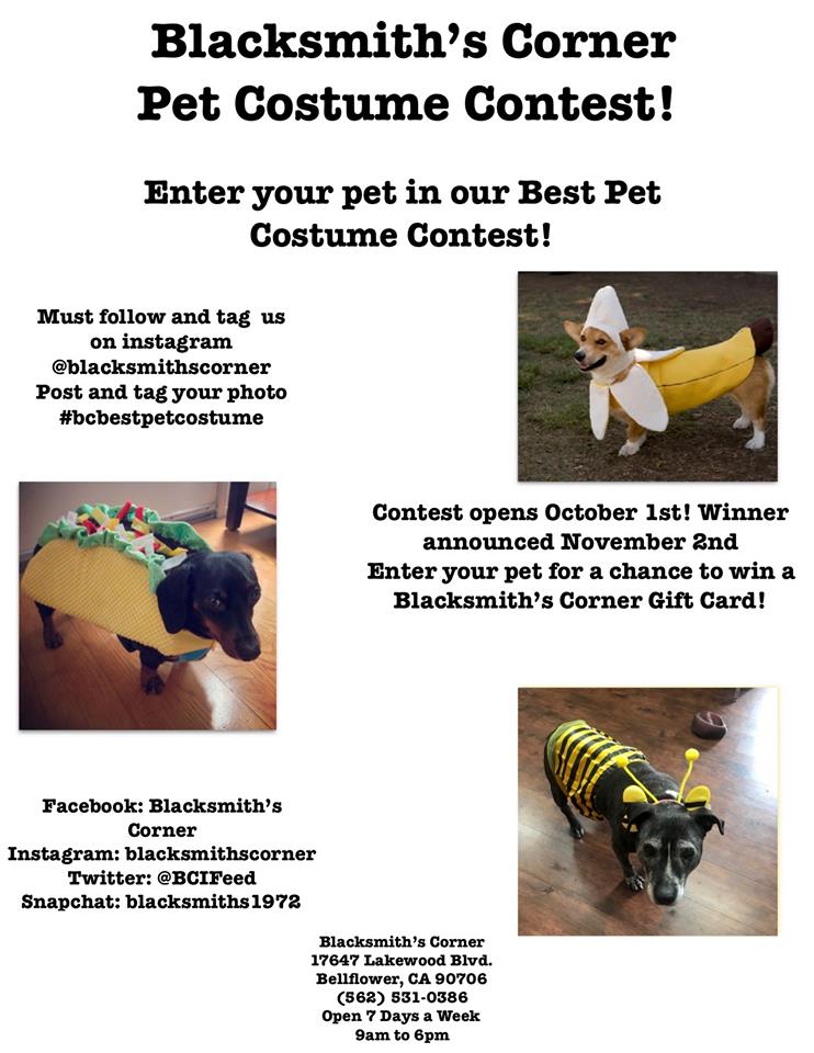 BCIFeed's tweet photo. Today is your last chance to enter our costume contest!
Winner will be announced 11/2/19 on Instagram! https://t.co/qb5ErQfFbY