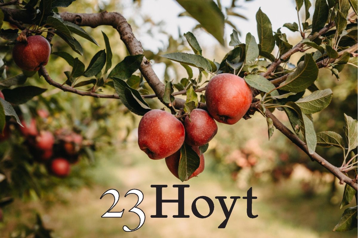 Stress-free, mess-free Thanksgiving. Let us do the cooking at 23Hoyt- mailchi.mp/23hoyt.com/let…