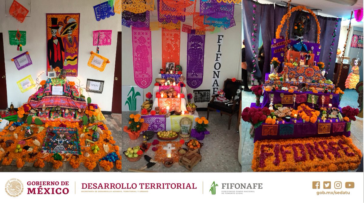 FIFONAFE_MX's tweet photo. #Fifonafe participa en nuestras tradiciones del #DiadeMuertos con nuestras #Ofrendas https://t.co/CNnq45rmmh