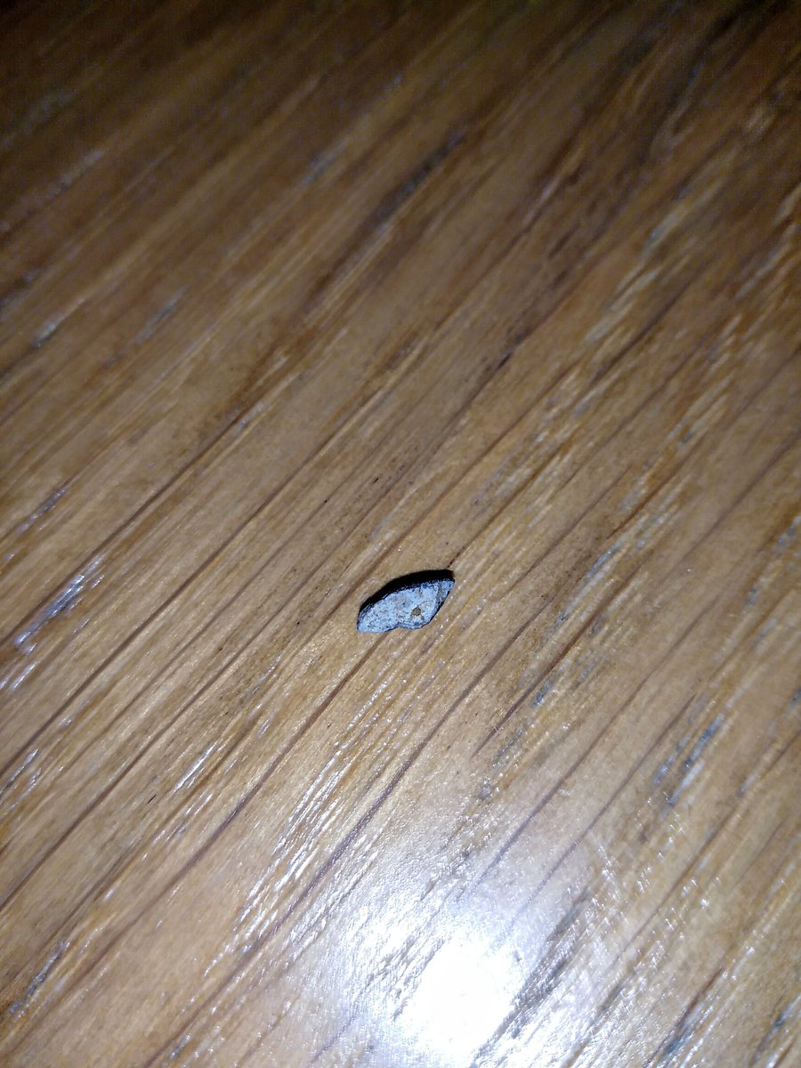 Lady Hazy tweet media