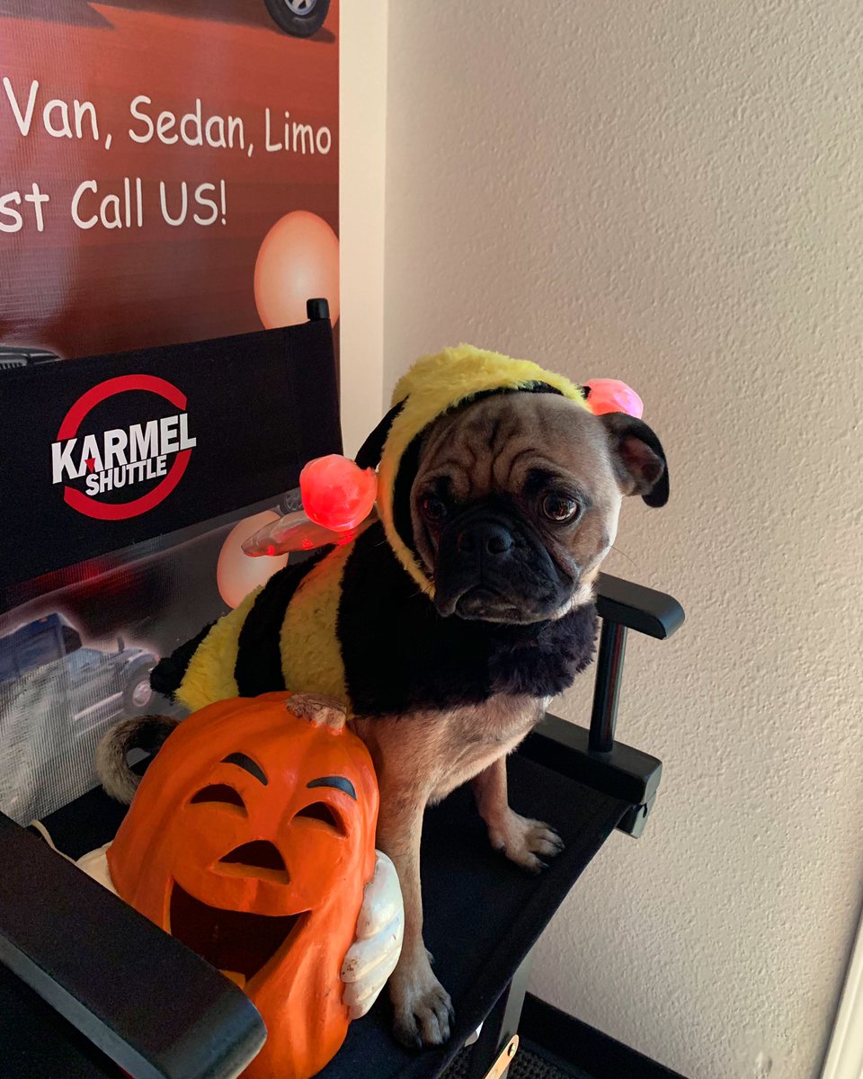 KARMELSHUTTLE's tweet photo. 🎃Happy Halloween from Karmel Shuttle🎃 https://t.co/2HLE1f32Xg