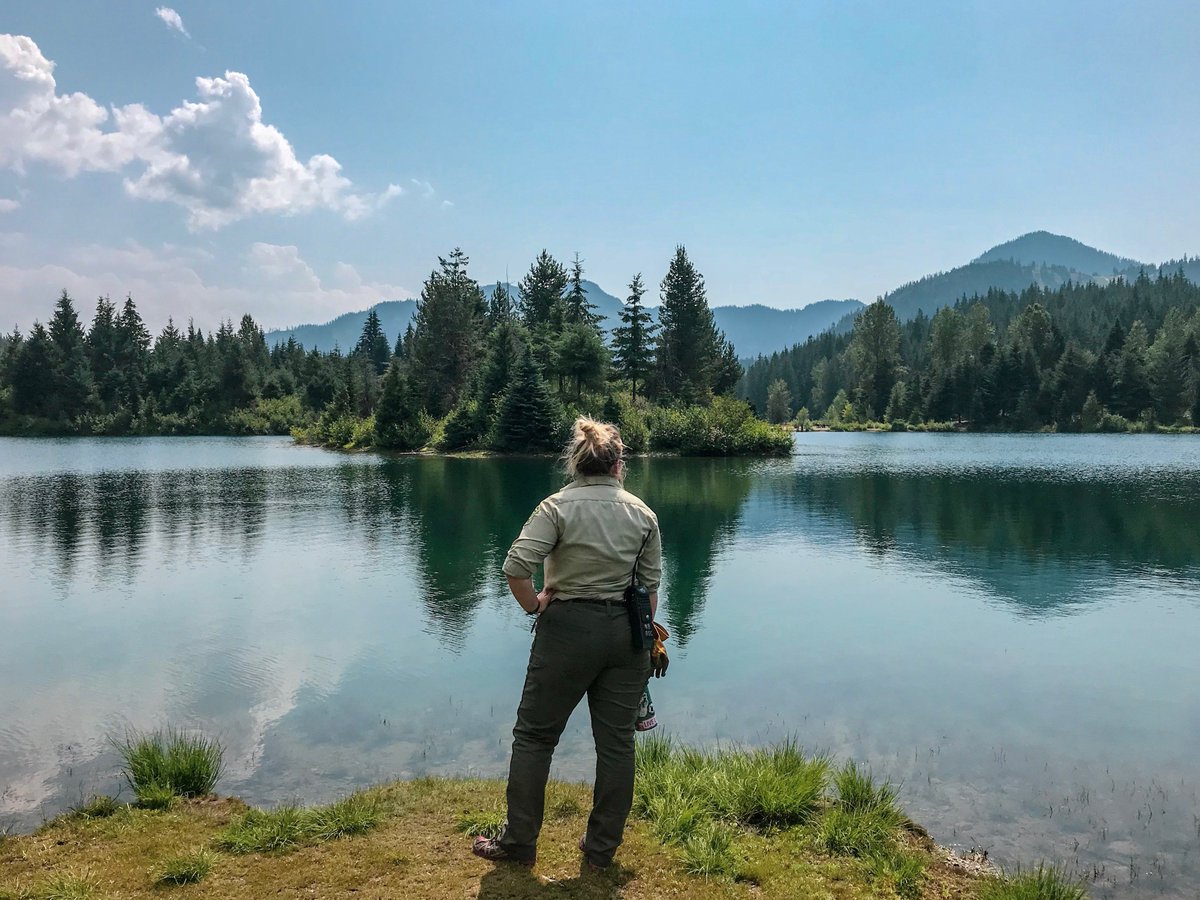 foresters's tweet photo. Do you know someone looking for a career that makes a difference? The 2019 SAF College Guide is now available! Please share broadly within your networks: https://t.co/hTLYBO2Qhj https://t.co/MkrrAILhAy