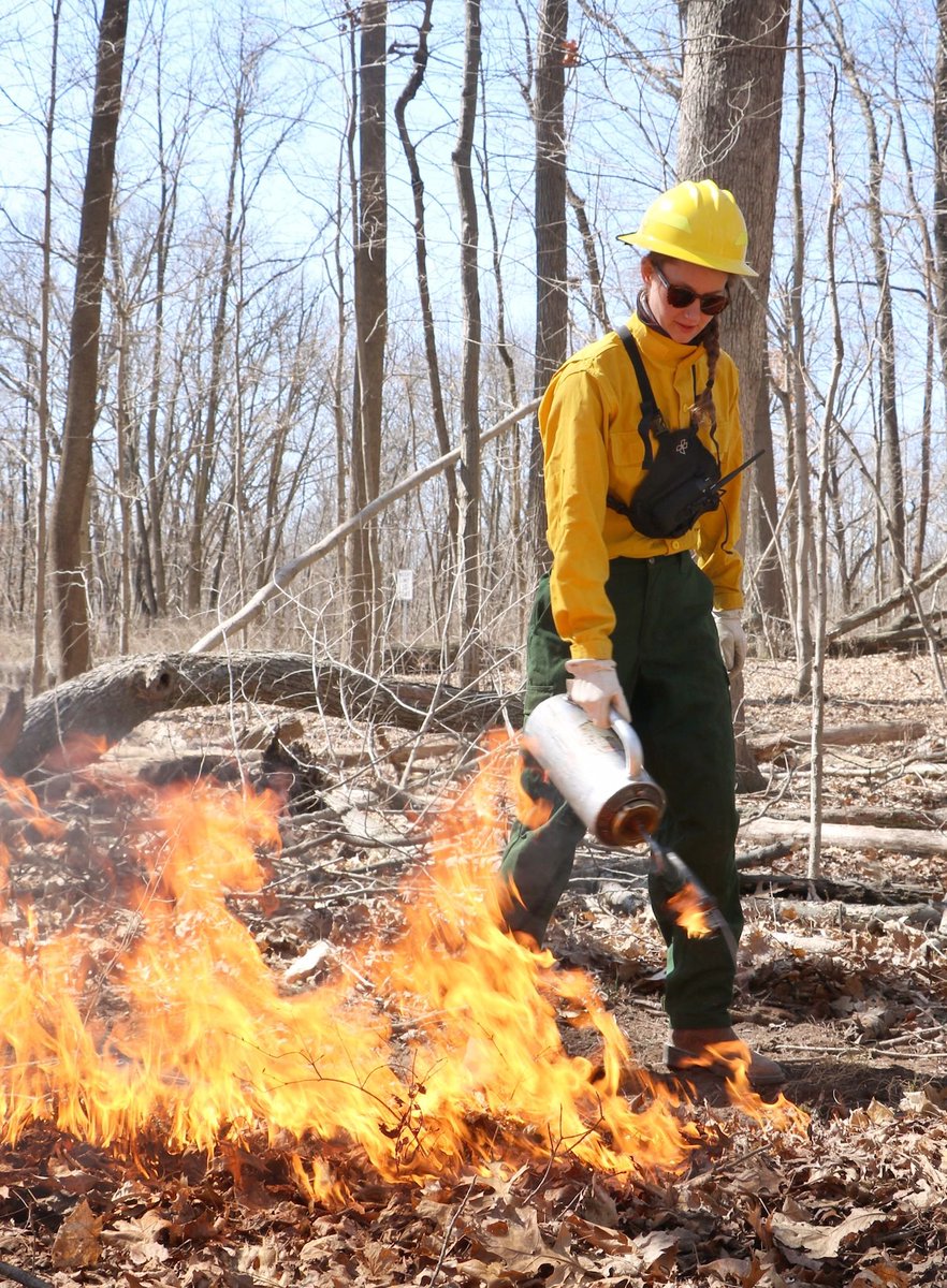 foresters's tweet photo. Do you know someone looking for a career that makes a difference? The 2019 SAF College Guide is now available! Please share broadly within your networks: https://t.co/hTLYBO2Qhj https://t.co/MkrrAILhAy