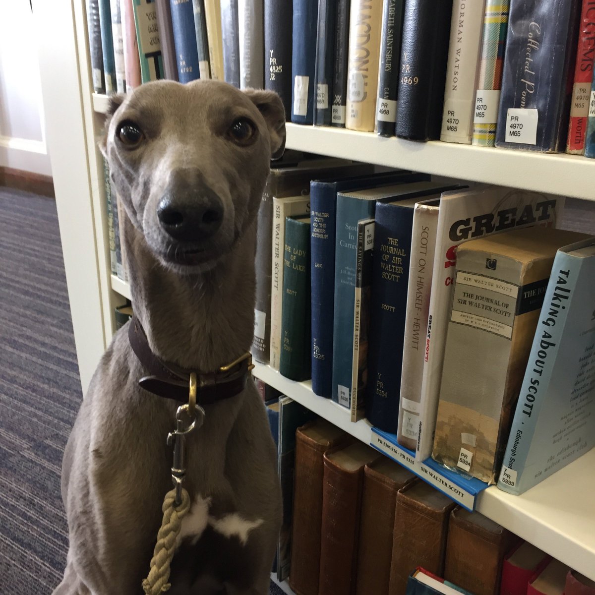 Theresa Breslin tweet media