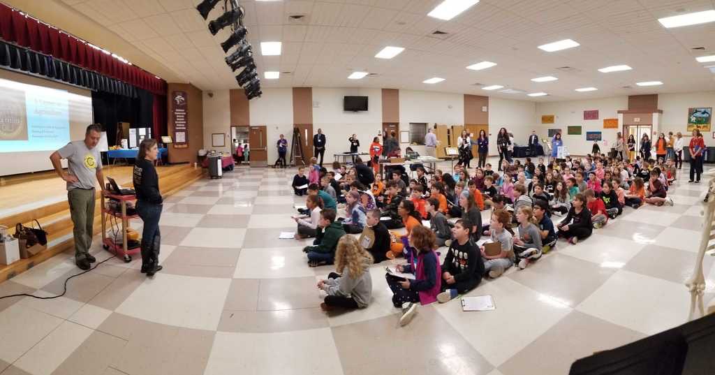 Upside Collective tweet media