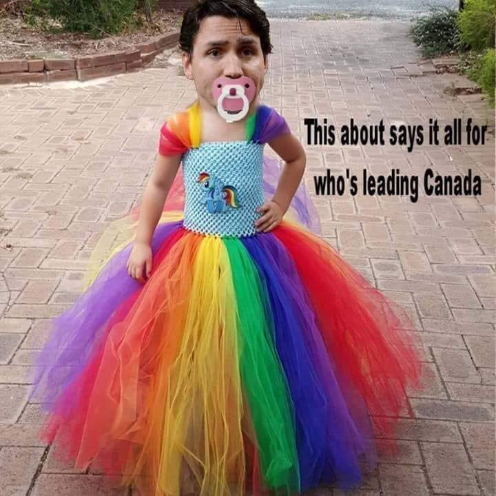 BangAccounting's tweet photo. Trick or treat, depends on who and where you are!
~
#Canada #Canadians #Alberta #Albertans @oilrespect @MDofGreenview @BangAccounting @CanadianProud4 https://t.co/edFiRkEtDL