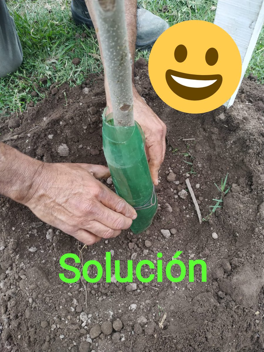 BanderaGM's tweet photo. Solución https://t.co/z9S8ugagFo