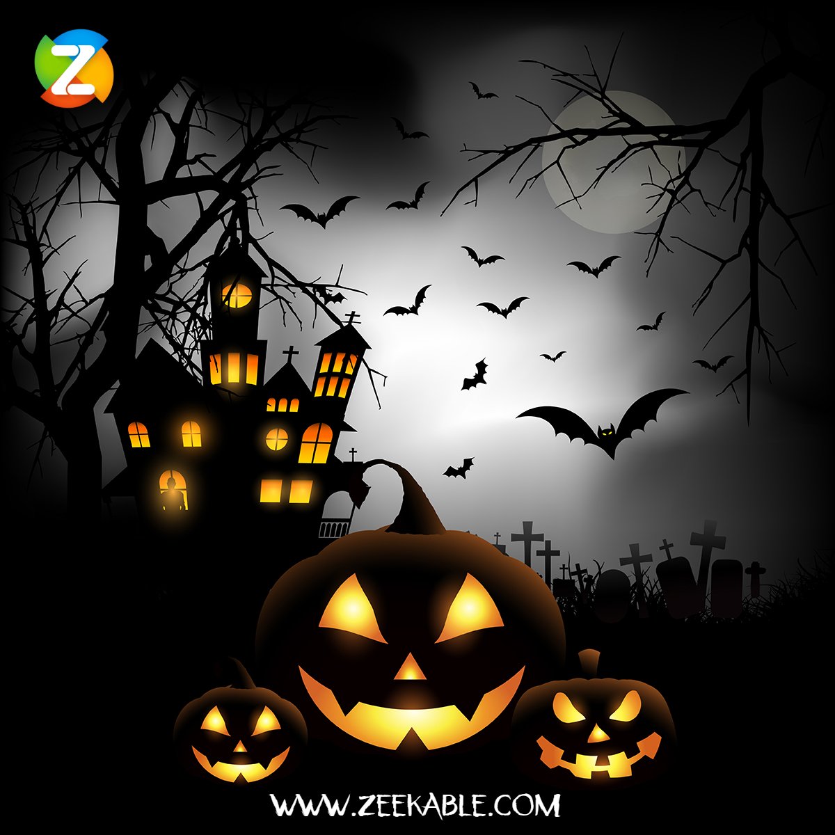 Zeekable tweet media