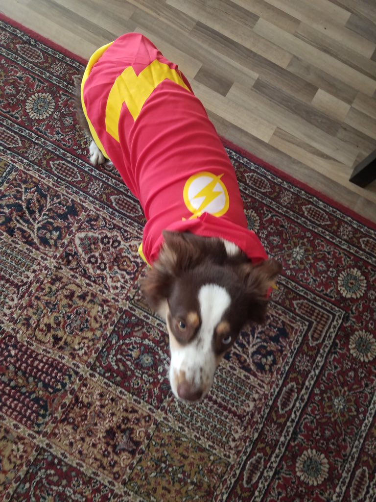 A pup entry?!?! Which UPSers our there will be dressing up their furry friends? 😻🦸‍♀️⚡️