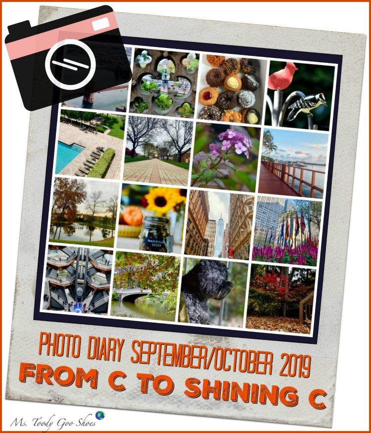 I know that today is Halloween, and that fall foliage is at its peak, and that we turn back the clocks this weekend. But somehow, I’m still surprised that tomorrow is November. My September/October Photo Diary is on the blog now. bit.ly/2JFiJ1v #photodiary