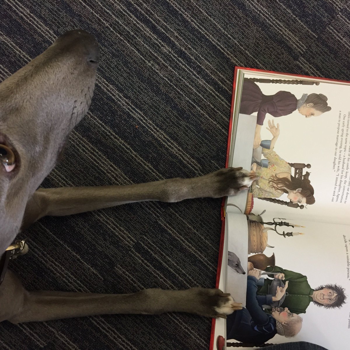 Theresa Breslin tweet media