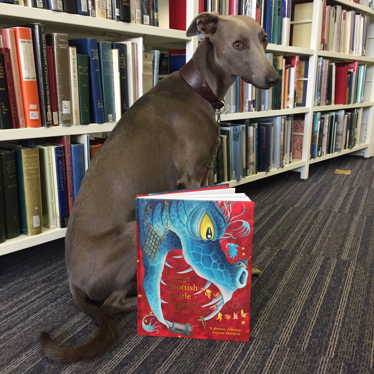 Theresa Breslin tweet media