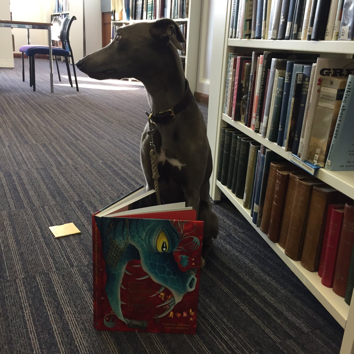 Theresa Breslin tweet media