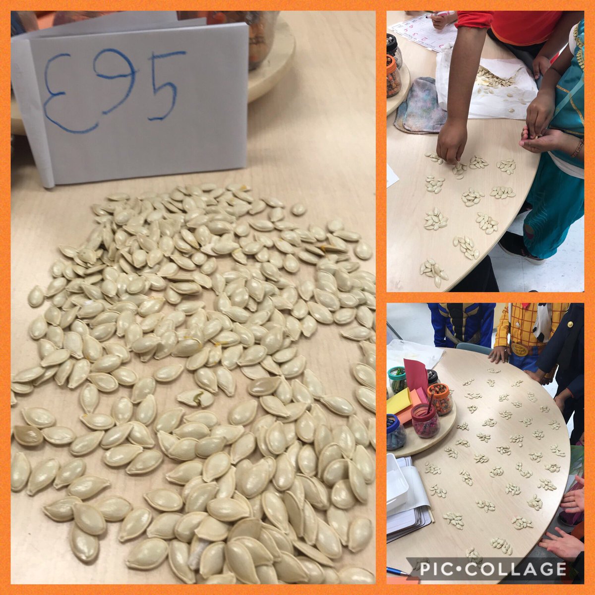 MsM_Kindies's tweet photo. Guess how many seeds where in our pumpkin ? #groupsof10 #teamwork @PteBuckamSingh @CardoneMrs #k5 https://t.co/USYqJYM4FW