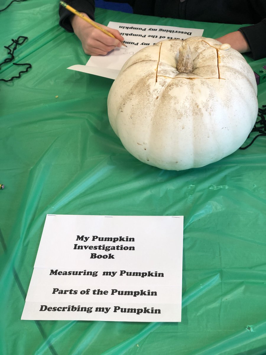 Investigating pumpkins in kinder and first!
