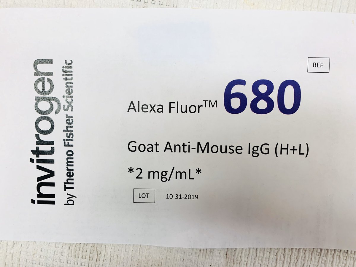 SachitaGanesa's tweet photo. Happy Halloween from the Alexa Fluors of the lab! @invitrogen @thermofisher #SPOOKY 👻🎃 https://t.co/WleQSnZkQx