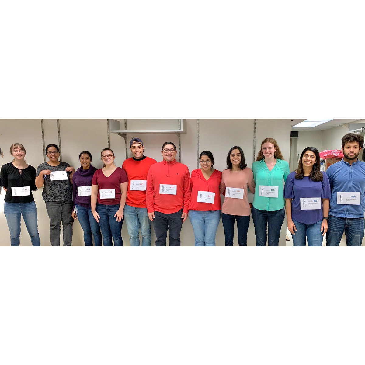 SachitaGanesa's tweet photo. Happy Halloween from the Alexa Fluors of the lab! @invitrogen @thermofisher #SPOOKY 👻🎃 https://t.co/WleQSnZkQx