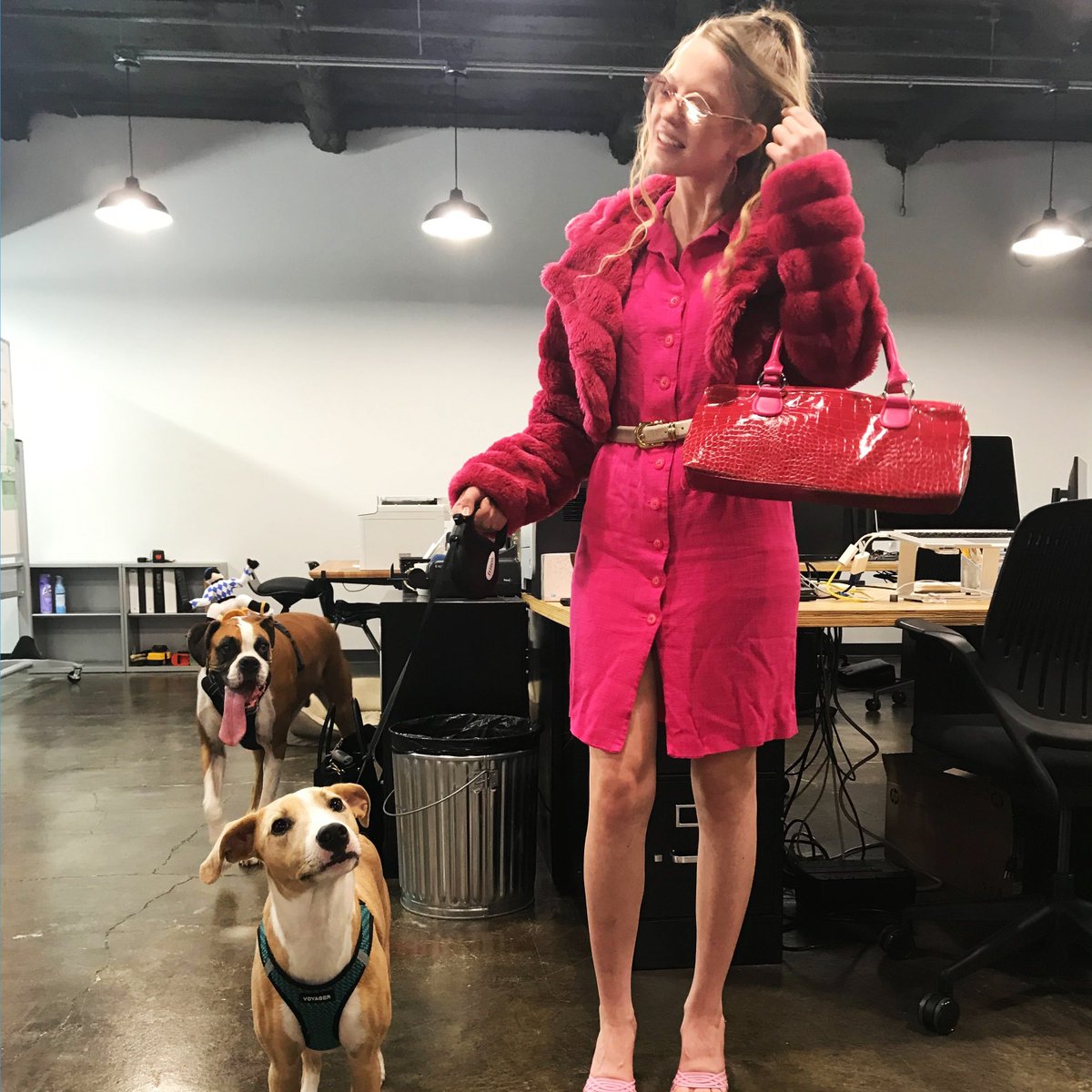 Barefoot tweet media