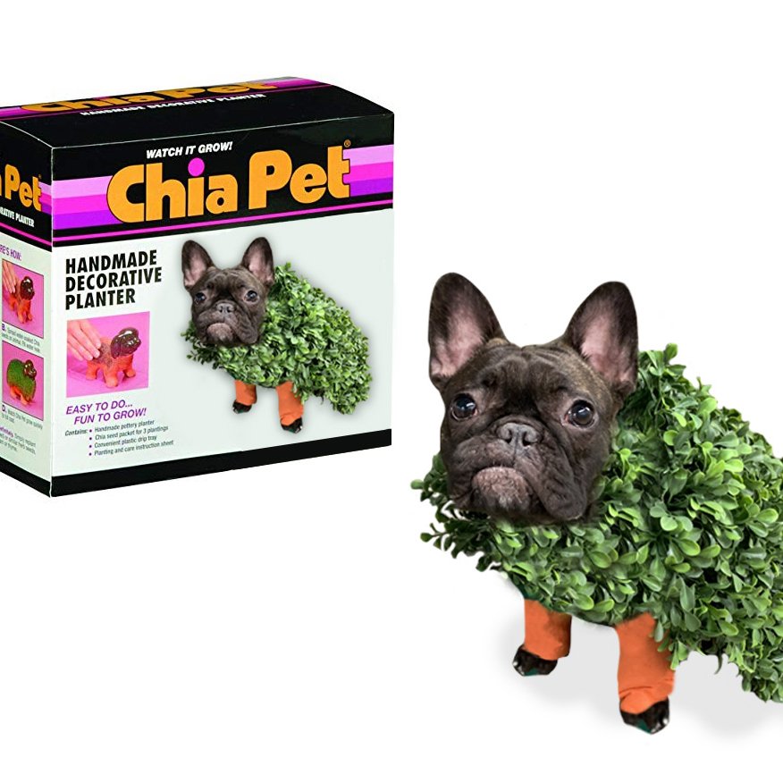 Barefoot tweet media