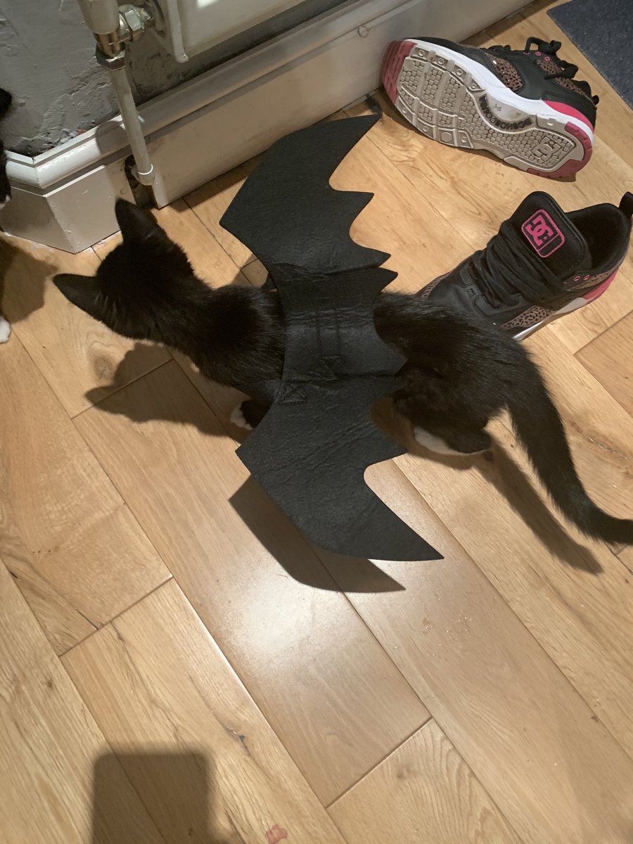 CiriDemi's tweet photo. #HappyHalloween https://t.co/iR8g4stkbe